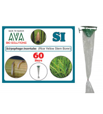 Ava Combo Pack of Funnel Pheromone Trap + SI Lure